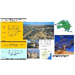 Farmstay i outbacken + Blue Mountains 